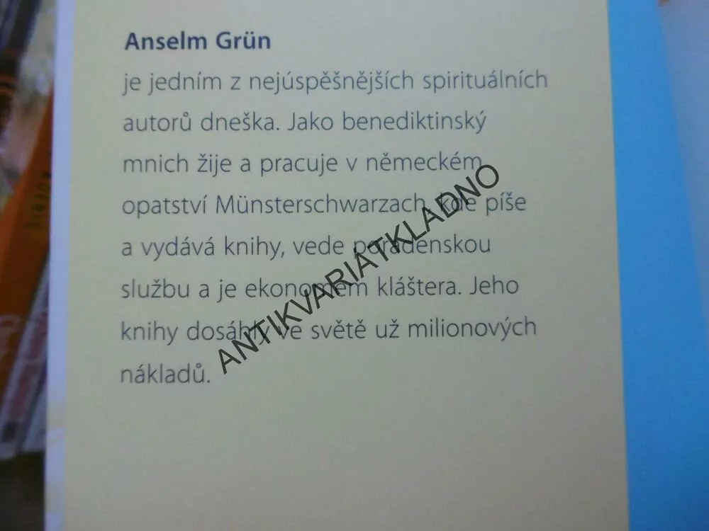 DEPRESE JAKO ŠANCE, SPIRITUÁLNÍ IMPULZY, ANSELM GRÜN