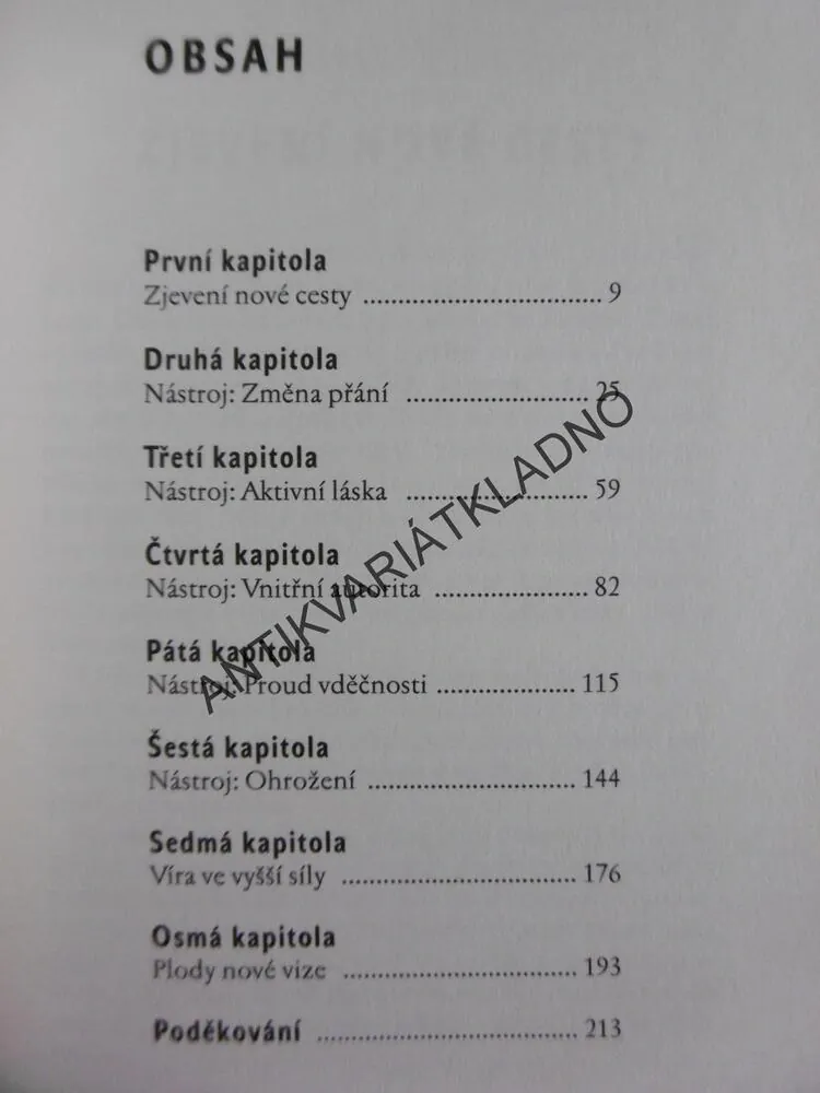 NÁSTROJE, NAUČTE SE ZÚROČIT SKRYTÉ SCHOPNOSTI A PŘEKONAT HANDICAPY, STUTZ, MICHELS