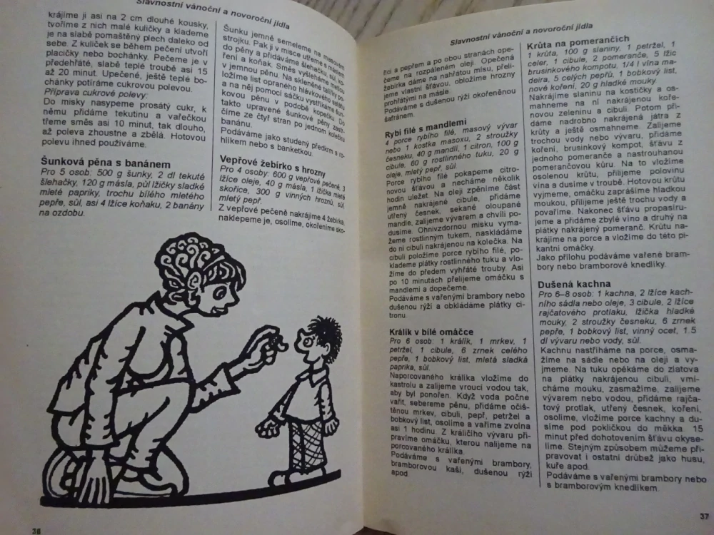 KUCHAŘKA NEJEN NA NEDĚLI, JEDNOU V ROCE NA VÁNOCE, **an