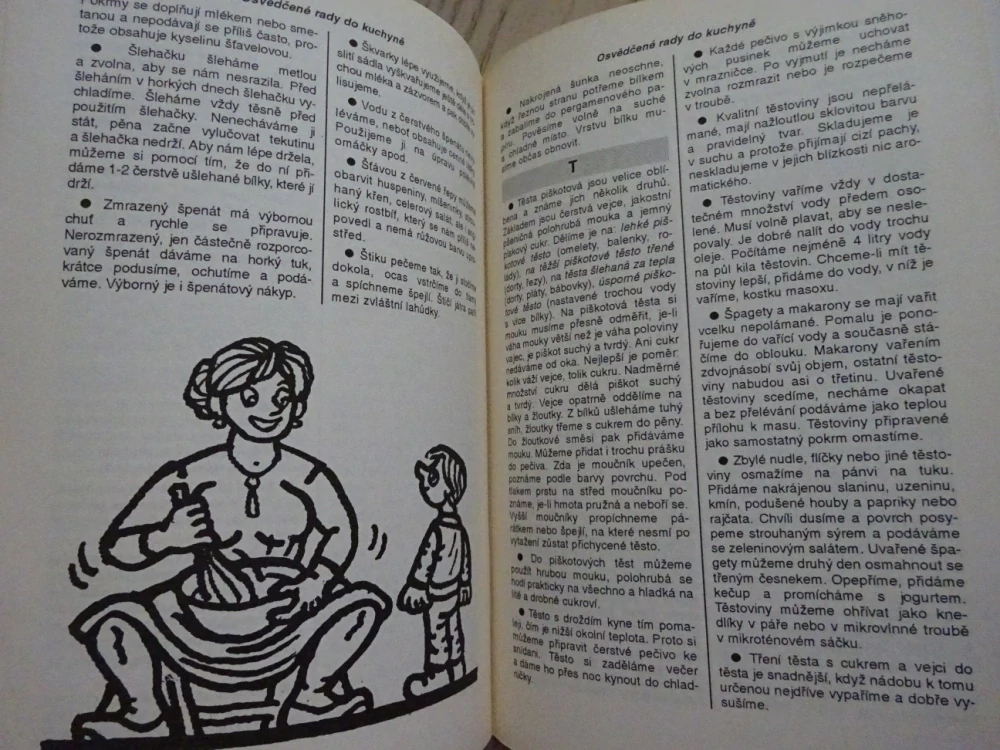 KUCHAŘKA NEJEN NA NEDĚLI, OSVĚDČENÉ RADY DO KUCHYNĚ, **an
