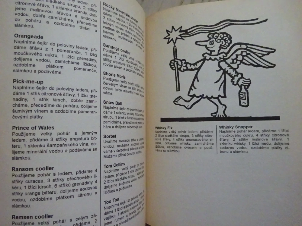 KUCHAŘKA NEJEN NA NEDĚLI, VÁNOČNÍ CUKROVÍ A NÁPOJE, **an