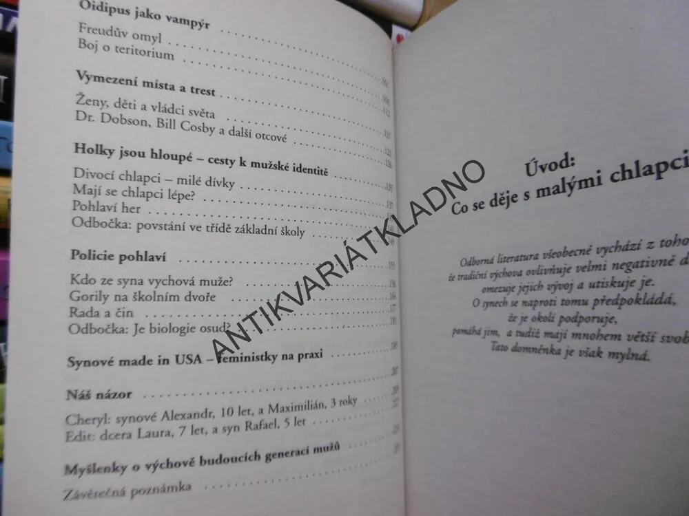 MATKY DĚLAJÍ MUŽE, JAK DOSPÍVAJÍ SYNOVÉ, BENARDOVÁ