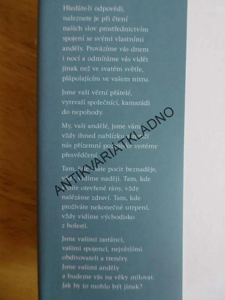 POSLOVÉ SVĚTLA, DOREEN VIRTUE