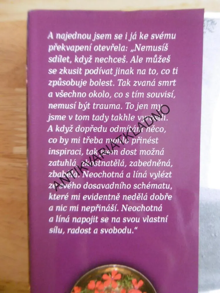 NENÍ CO ZTRATIT FUK BUBLIFUK, HANA POLTIKOVIČOVÁ