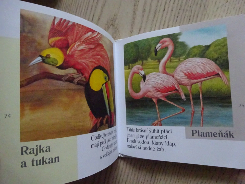 KAMARÁDI ZVÍŘÁTKA, JIŘÍ ŽÁČEK, **an