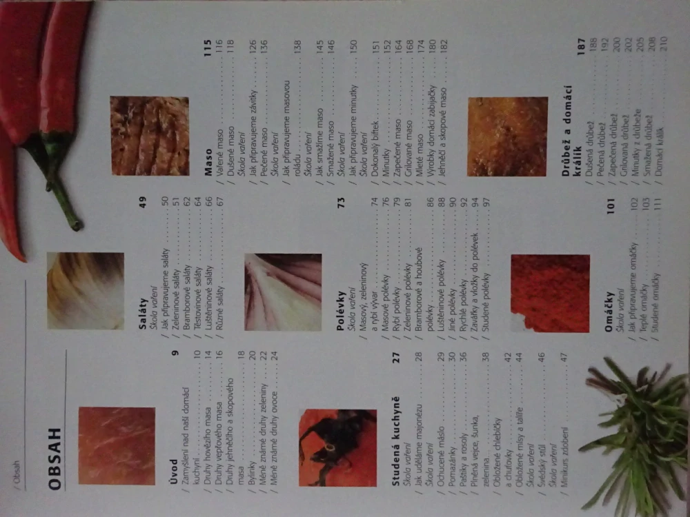 VELKÁ DOMÁCÍ KUCHAŘKA, NODL, MANDŽUKOVÁ, HAVLŮ, **an