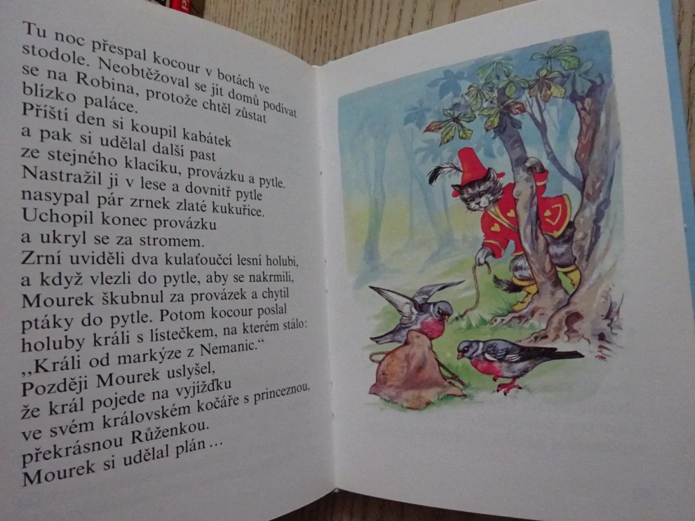 KAMARÁDKA POHÁDKA, **an