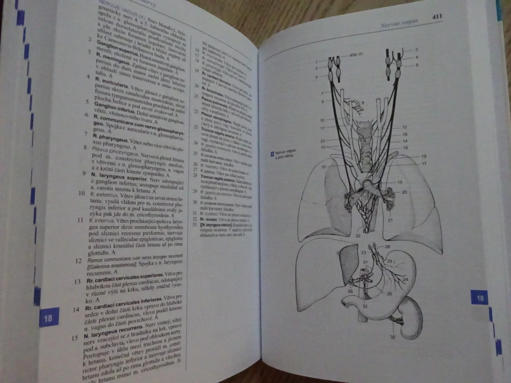 FENEISŮV OBRAZOVÝ SLOVNÍK ANATOMIE, WOLFGANG DAUBER, **an