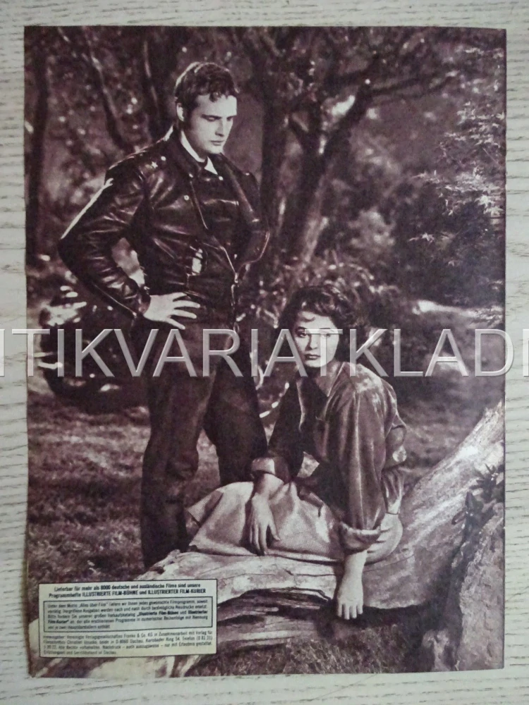 THE WILD ONE, DIVOCH, MARLON BRANDO, LEE MARVIN, NĚMECKY, BIO PROGRAM