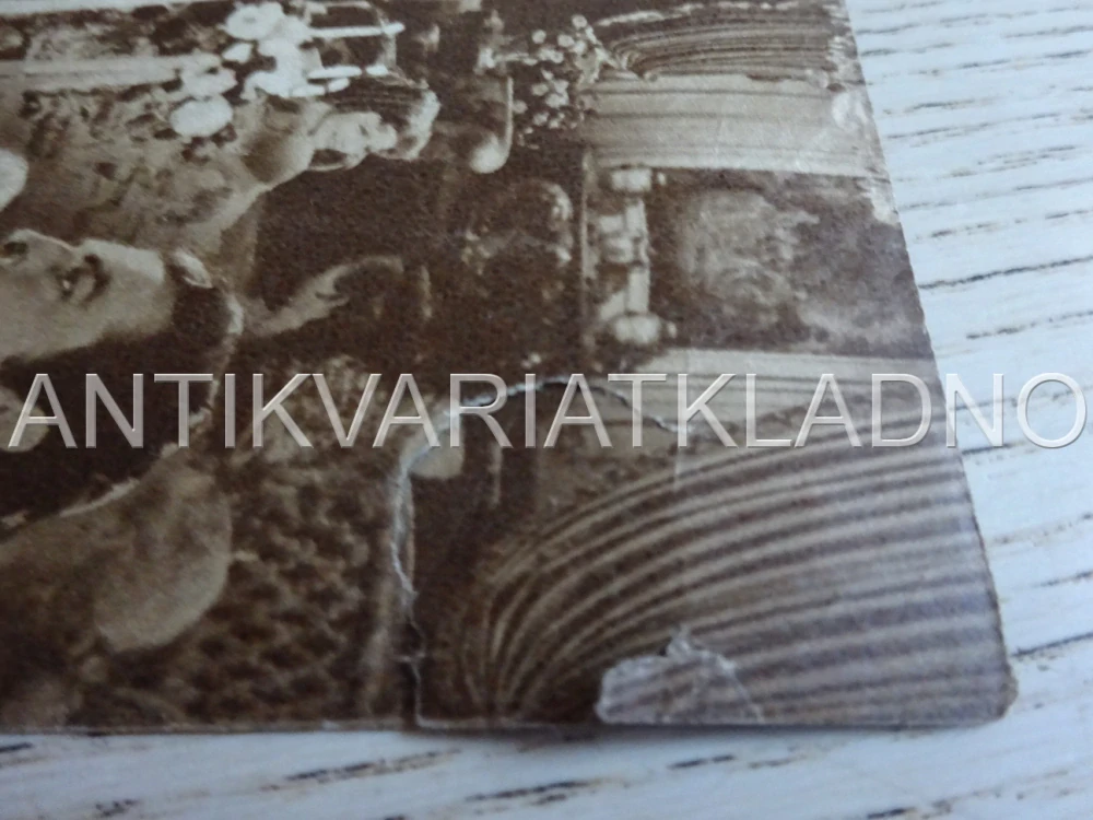 CAMILLE, GRETA GARBO, NĚMECKY, BIO PROGRAM 1400