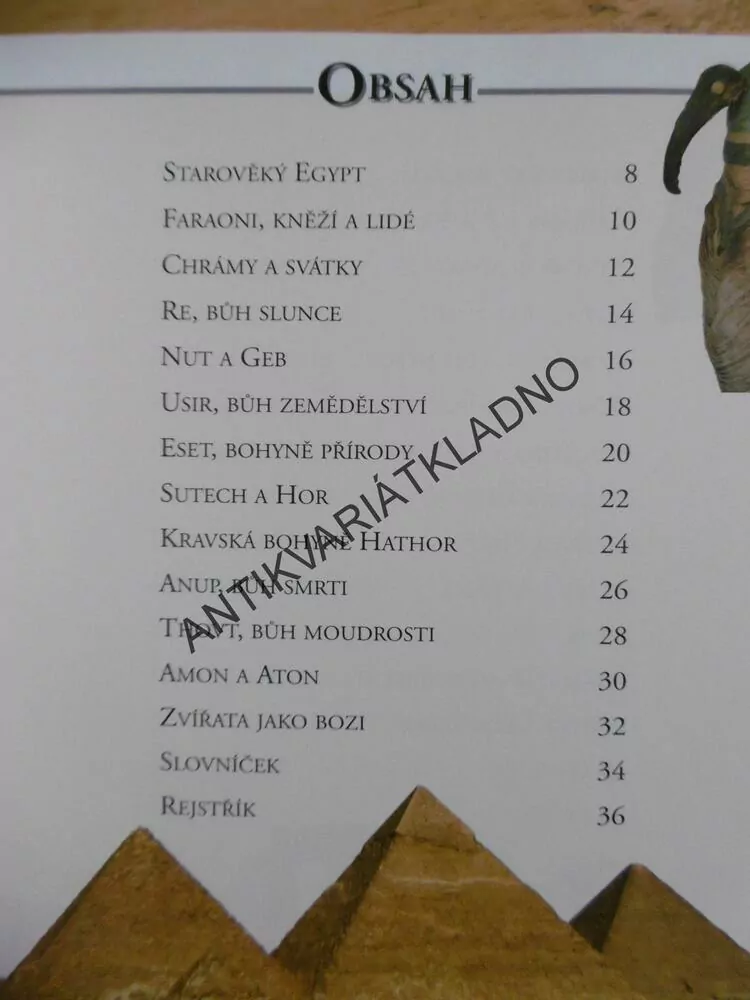 BOHOVÉ A BOHYNĚ STAROVĚKÝCH CIVILIZACÍ, LEON ASHWORT,