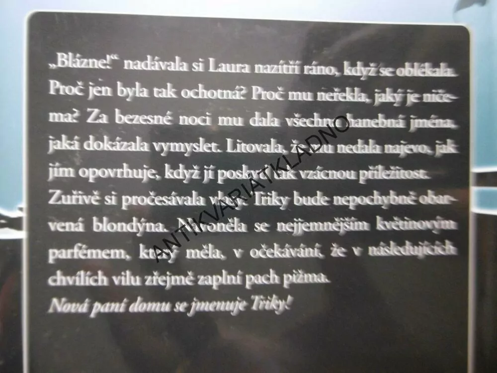 DŮM S MINULOSTÍ, SANDRA BROWN