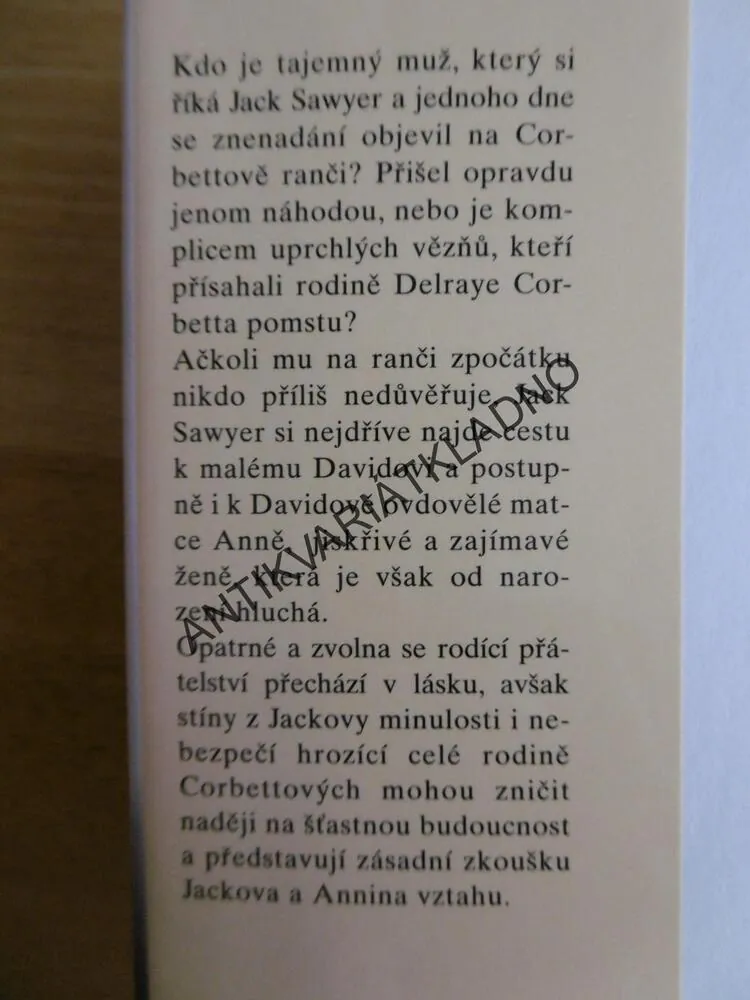 SILNĚJŠÍ NEŽ SLOVA, SANDRA BROWN