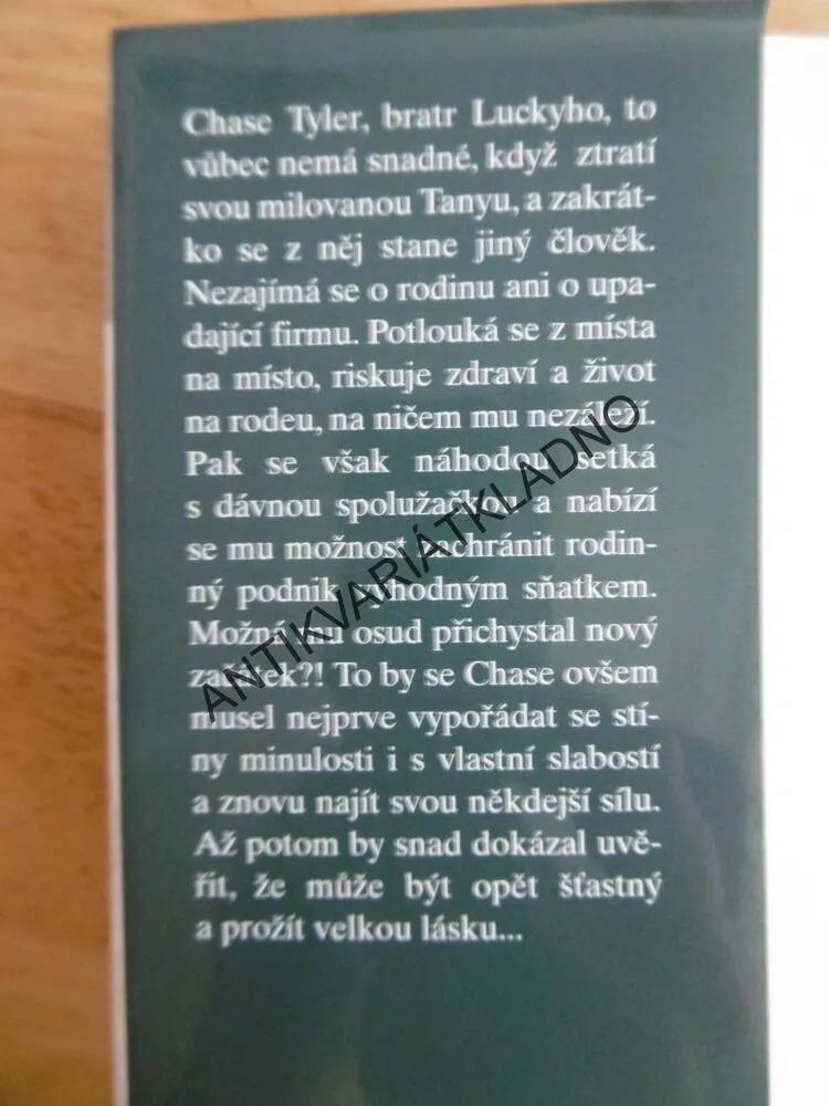 TEXAS, ODHODLANÝ CHASE, SANDRA BROWN, **an