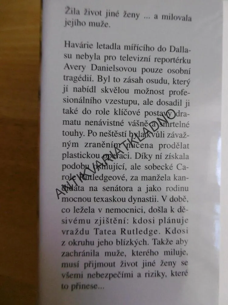 NEBEZPEČNÁ PODOBA, SANDRA BROWN