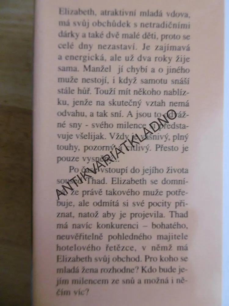 MILENEC ZE SNŮ, SANDRA BROWN, **an