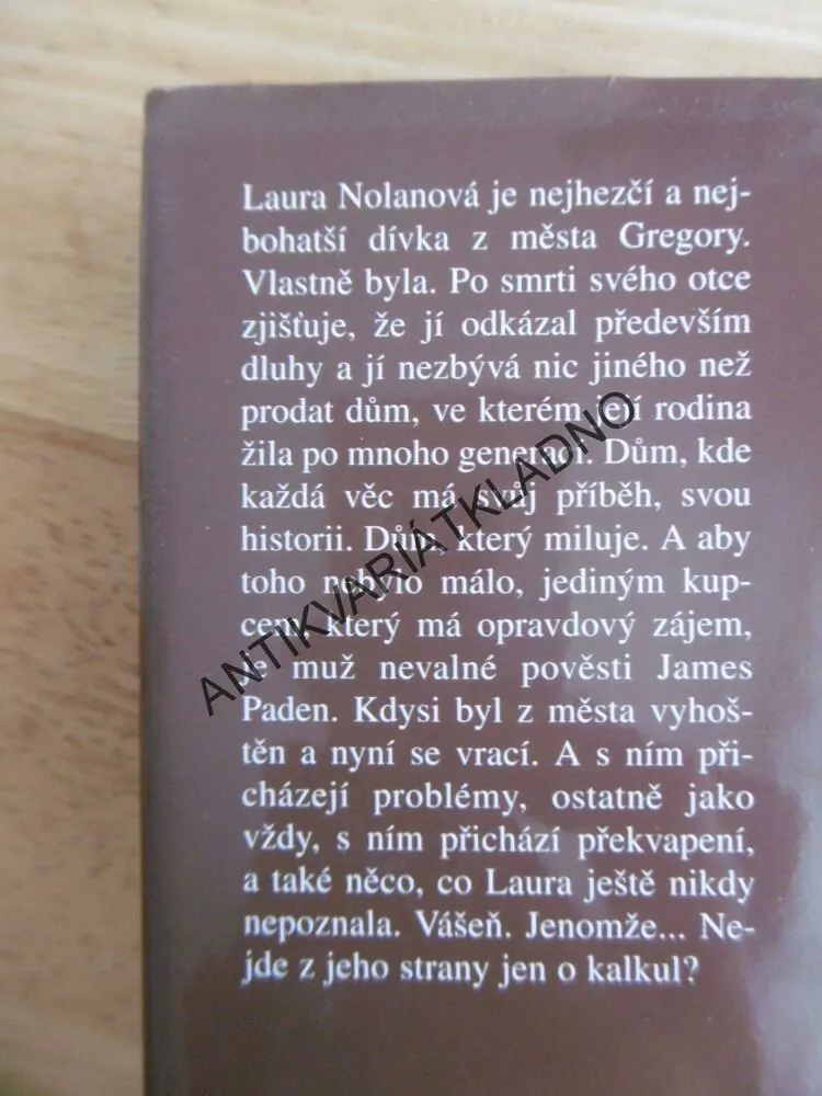 DŮM S MINULOSTÍ, SANDRA BROWN, **an