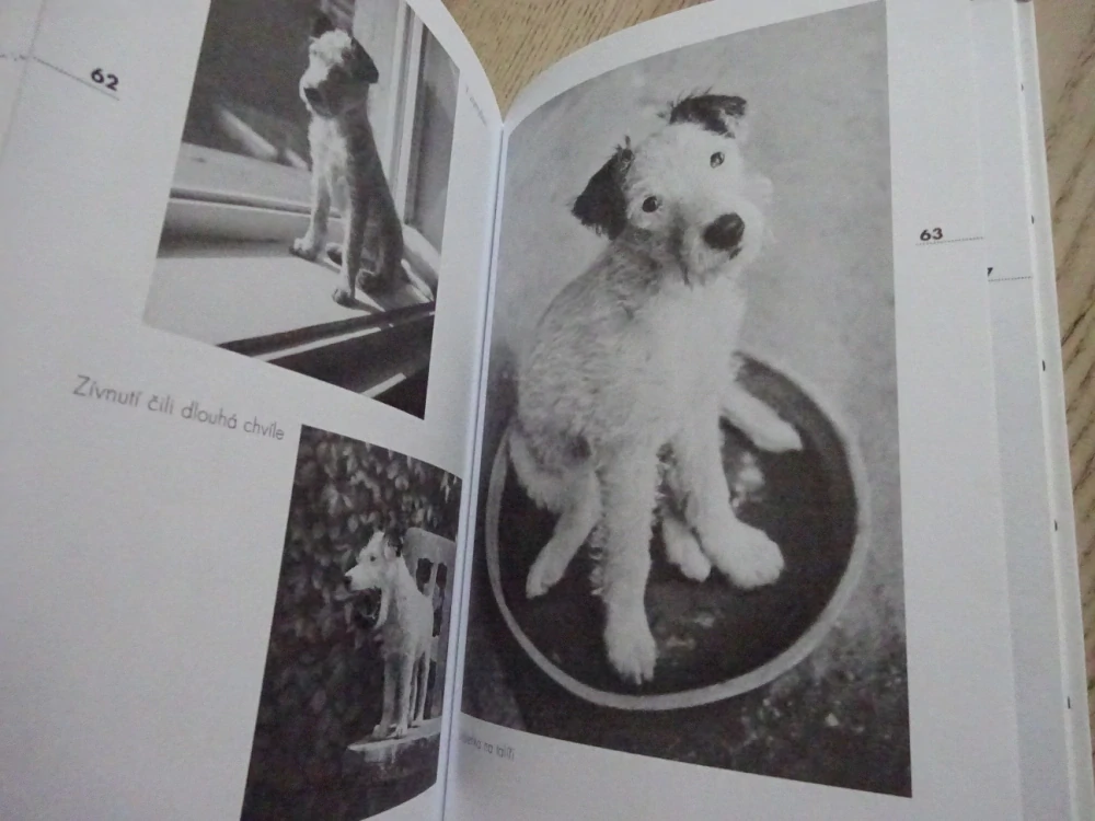 DÁŠENKA, ČILI ŽIVOT ŠTĚNĚTE, KAREL ČAPEK, 2009, **an