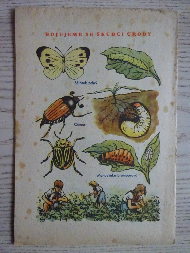 OHNÍČEK Č. 23/1951, KOMIKS, NEPRAKTA, SEKORA, BURIAN