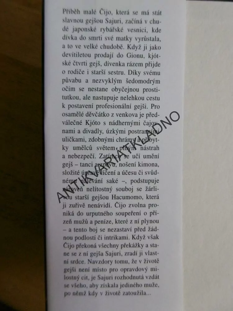 GEJŠA, ARTHUR GOLDEN, **an