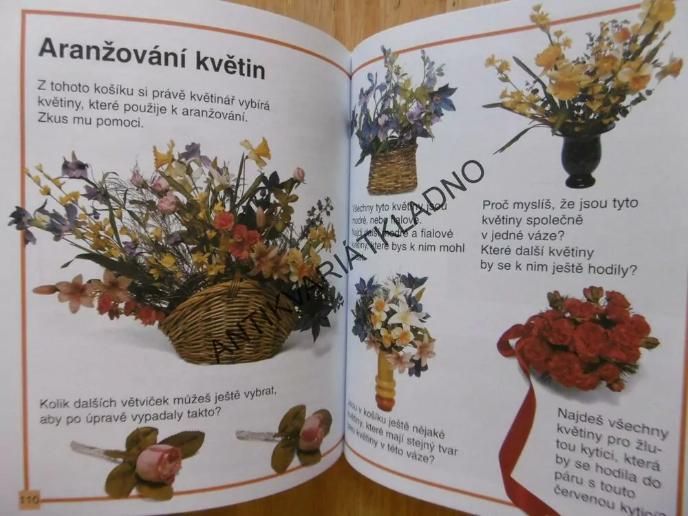 CO MÁM UMĚT NEŽ PŮJDU DO ŠKOLY, **an