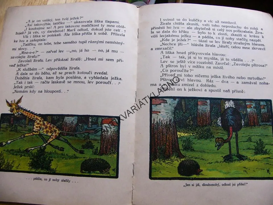 POHÁDKA O JEŽKU PICHLÁČKOVI, KALUŽNÝ