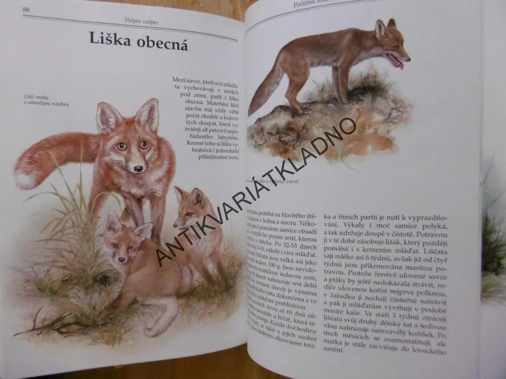 MLÁĎATA V PŘÍRODĚ, PTÁCI, SAVCI Z NAŠICH LESŮ,POLÍ A VOD, BOUCHNER