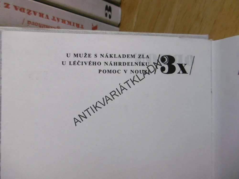 TŘIKRÁT RICHARD JURY ZE SCOTLAND YARDU, MARTHA GRIMESOVÁ, **an