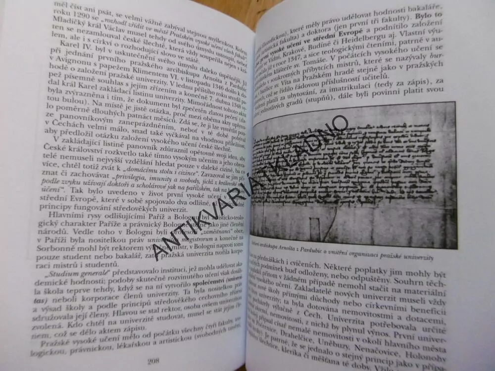 ČESKÉ ZEMĚ V LETECH 1310-1378, LUCEMBURKOVÉ NA ČESKÉM TRŮNĚ 1.