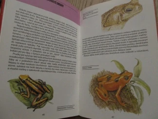 PLAZI A OBOJŽIVELNÍCI, J. ČIHAŘ, A. ČEPICKÁ, **an