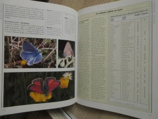 SVĚT HMYZU, RICK IMES,**an