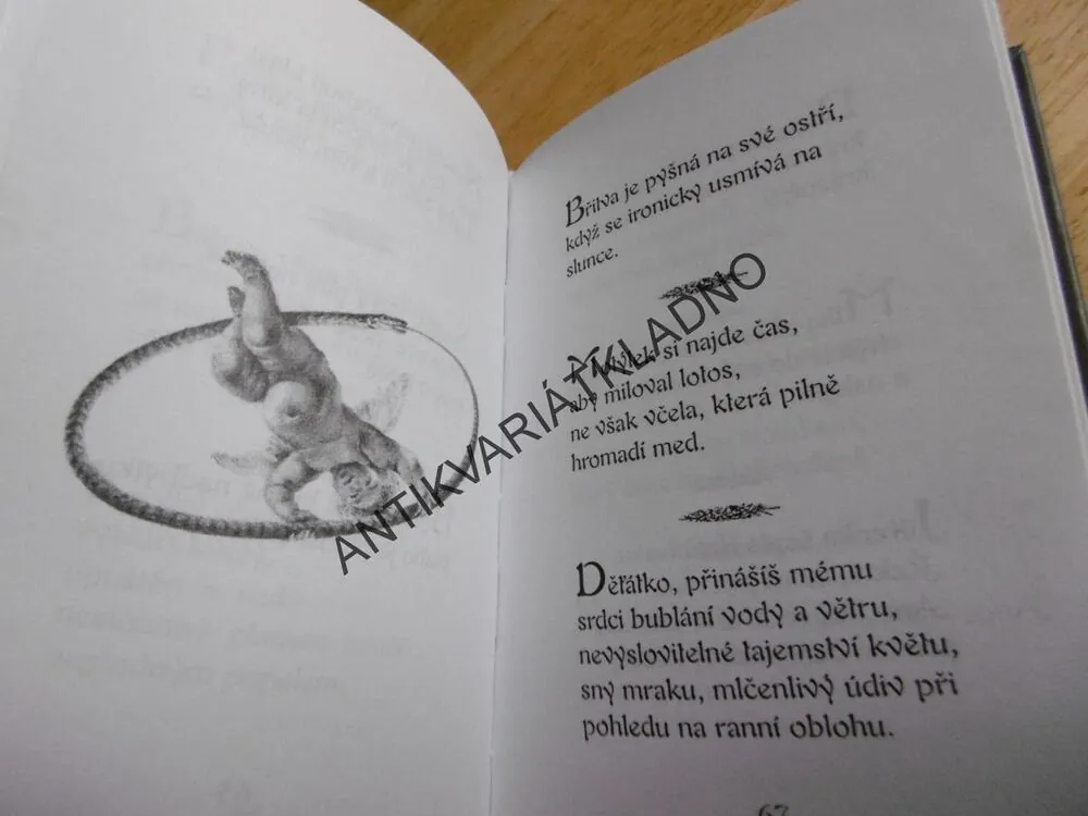 SVĚTLUŠKY, RABINDRANÁTH THÁKUR, 