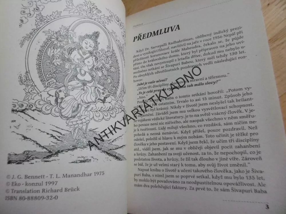 CESTA POZNÁNÍ, ŽIVOT A UČENÍ, ŠRI GOVINDANANDA BHARATI, ŠIVAPURI BABA,
