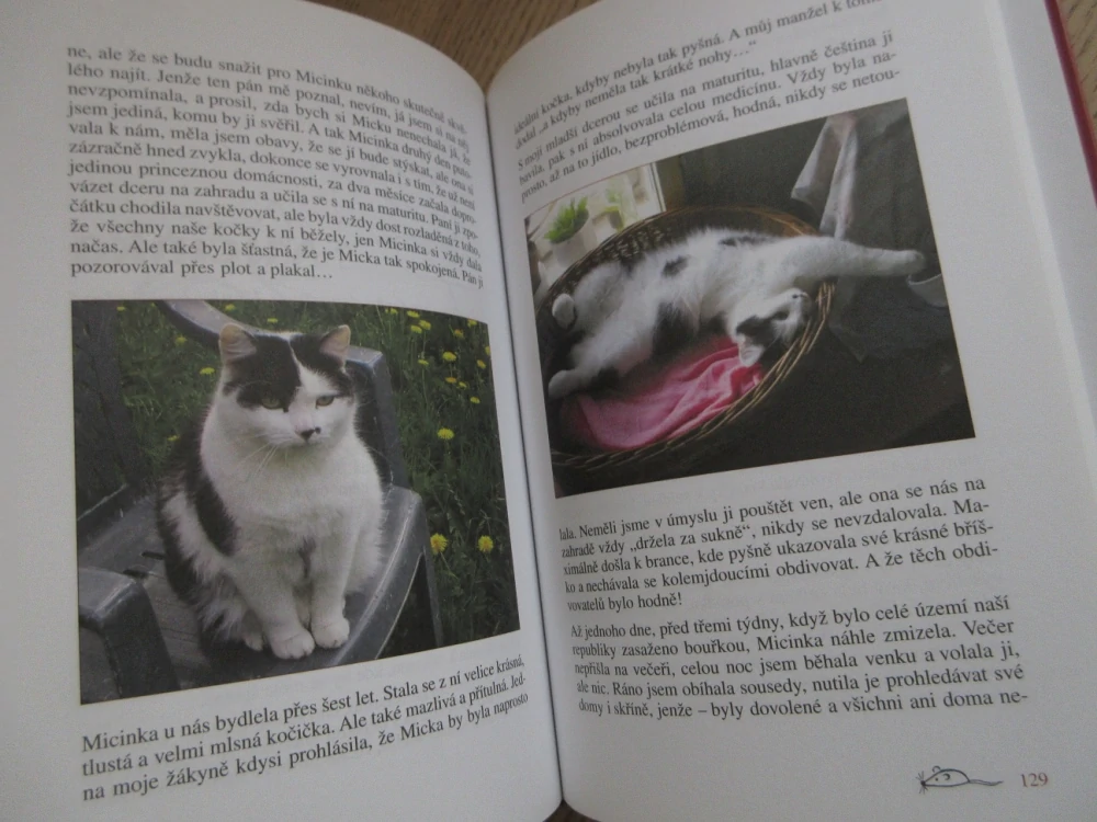 TO JE KOČKA, NAPSALA, MARKÉTA MATĚJKOVÁ, **an