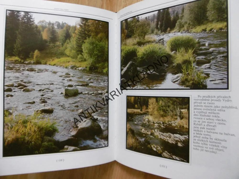KLOSTERMANNOVA ŠUMAVA, SLÁVA VANEŠ, **an