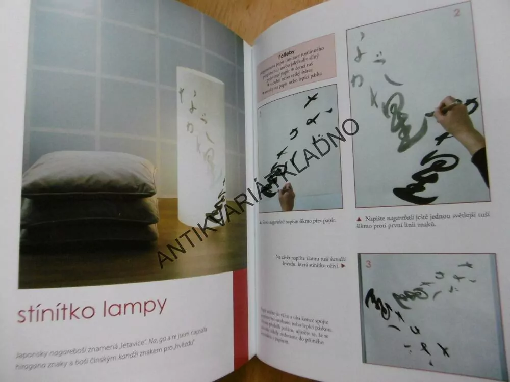 JAPONSKÁ KALIGRAFIE, JOKO TAKENAMI