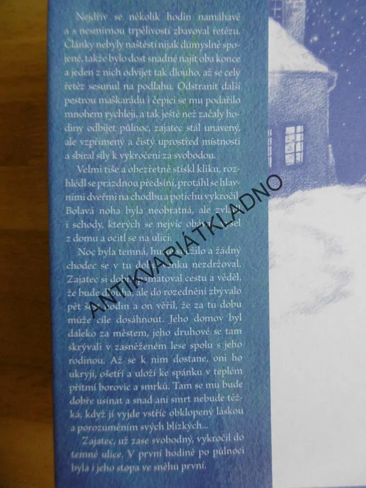 VÁNOCE NA NITKÁCH, EVA BEŠŤÁKOVÁ