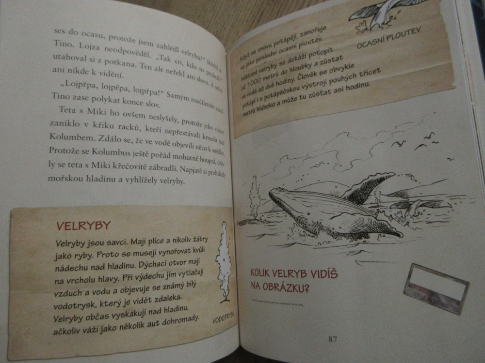 POKLAD ČERNÉHO ŽRALOKA, THOMAS C. BREZINA, **an