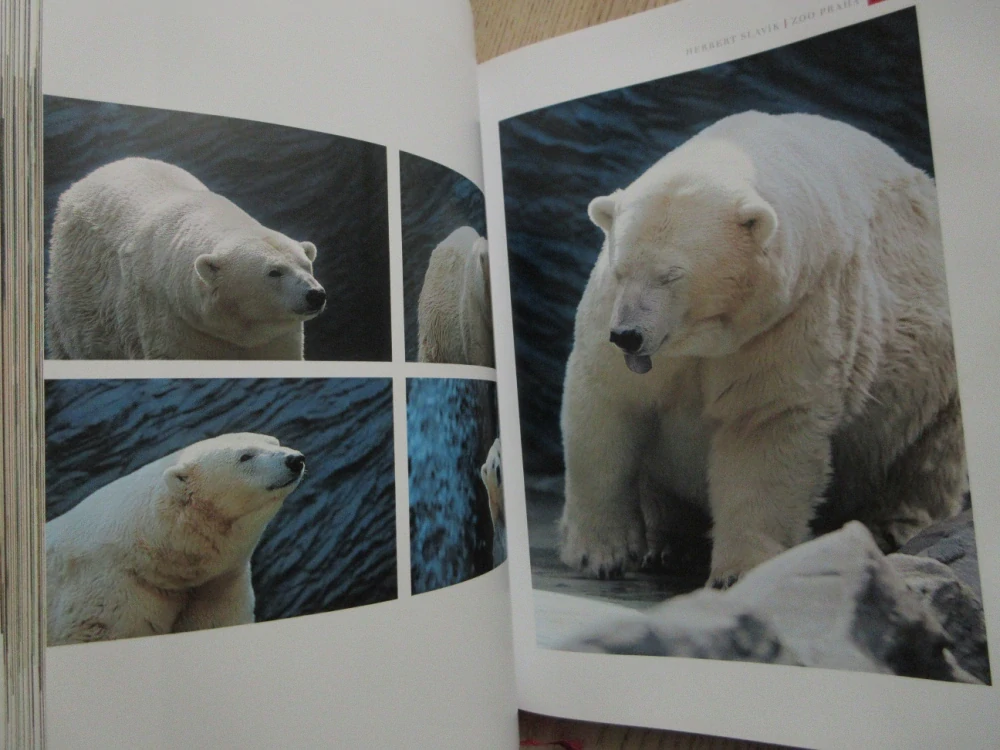 ZOO PRAHA, HERBERT SLAVÍK, **an