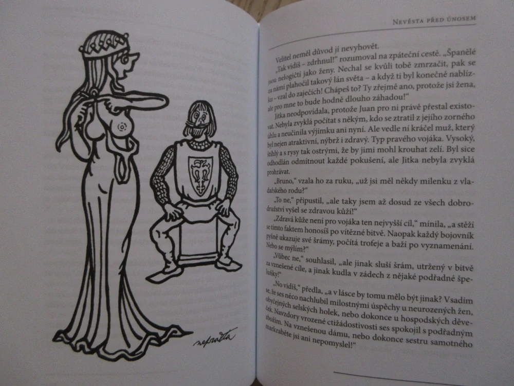 NEMRAVNÁ DÍVKA NA VDÁVÁNÍ, MILOSLAV ŠVANDRLÍK, **an