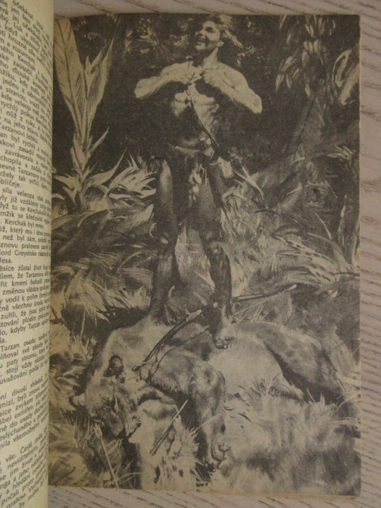 TARZAN: SYN DIVOČINY, 1. DÍL, EDGAR RICE BURROUGHS, **an