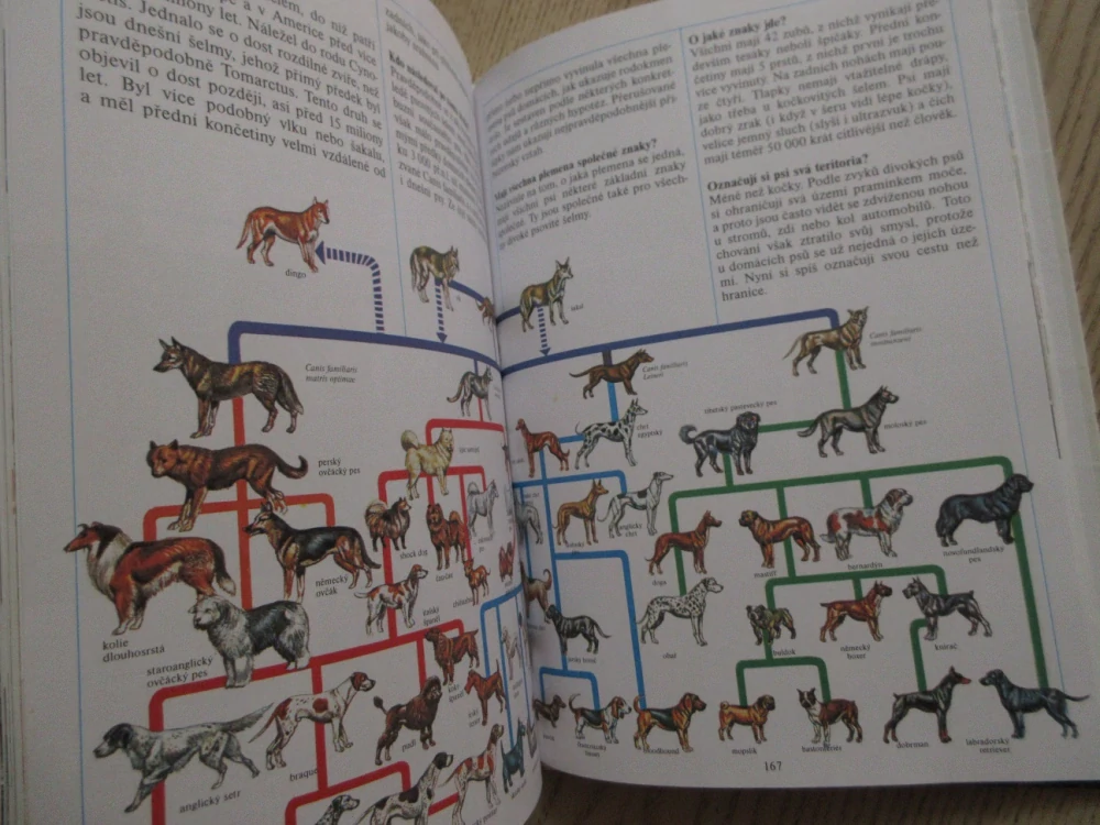 1000 OTÁZEK ZE ŽIVOTA ZVÍŘAT, **an