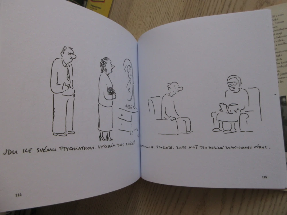 VÁŠ PSYCHOANALYTIK JE VÁŠ PŘÍTEL, KNÍŽKA PRO BLÁŽNY, VLADIMÍR JIRÁNEK, **an