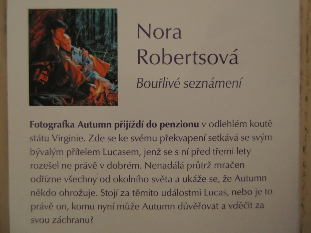 BOUŘLIVÉ SEZNÁMENÍ, NORA ROBERTSOVÁ, **an