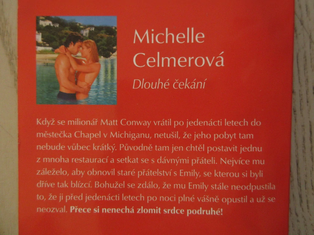 DLOUHÉ ČEKÁNÍ, MICHELLE CELMEROVÁ, **an