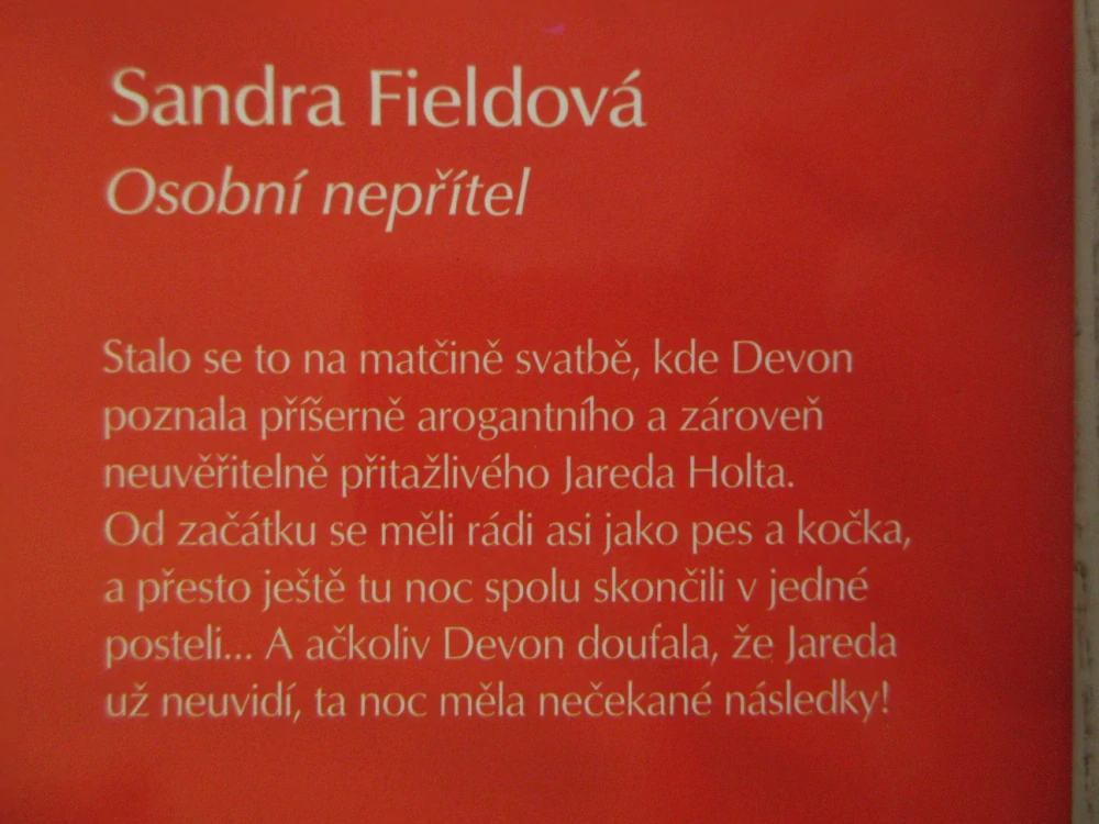 OSOBNÍ NEPŘÍTEL, SANDRA FIELDOVÁ, **an