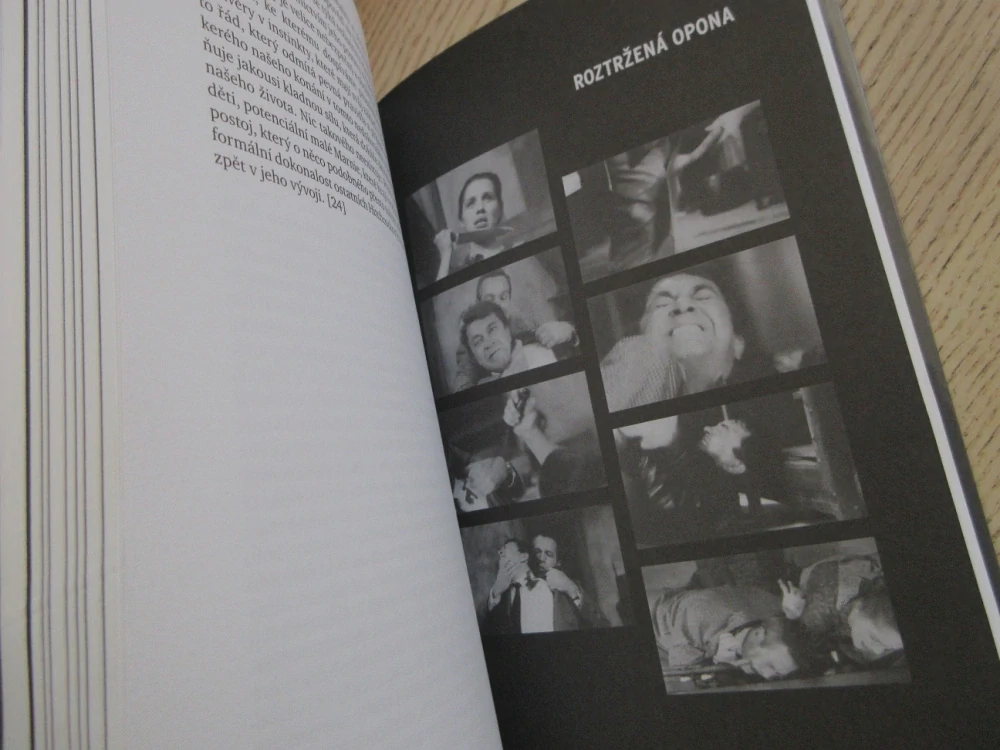 ALFRED HITCHCOCK A JEHO FILMY, ROBIN WOOD,**an