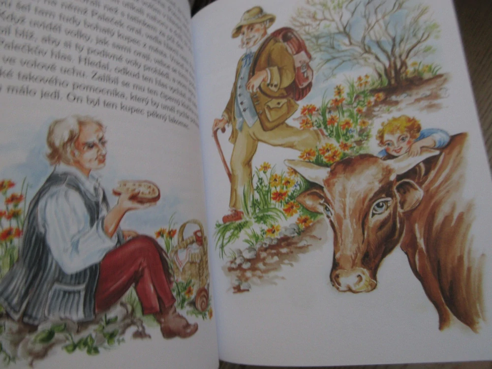 KRÁLOVSTVÍ POHÁDEK, POHÁDKY B. NĚMCOVÉ A K. J. ERBENA, **an