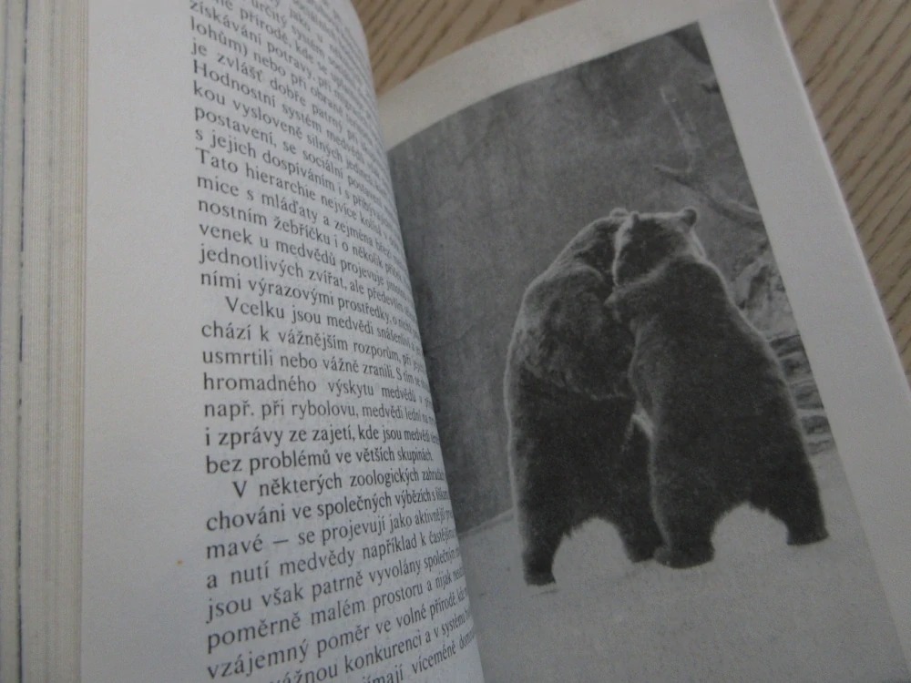 ZVÍŘATA CELÉHO SVĚTA 4, MEDVĚDI A PANDY, IVAN HERÁŇ, **an 