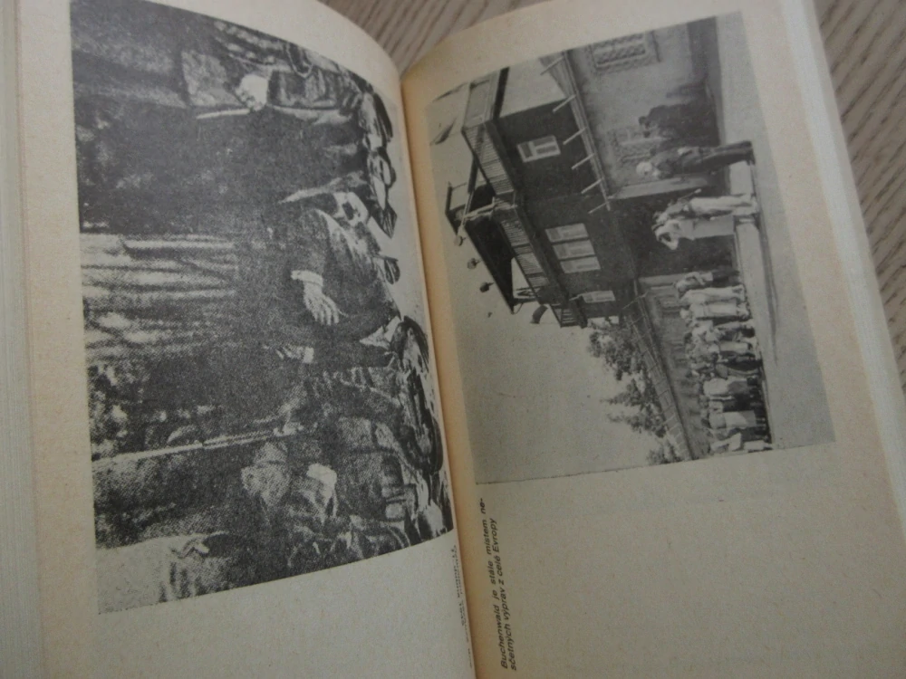 NIKDO NESMÍ PŘEŽÍT, 5/'75, MILOSLAV MOULIS, **an